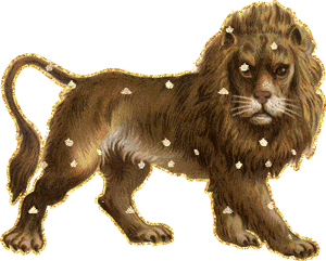 Gif animé lion étoiles